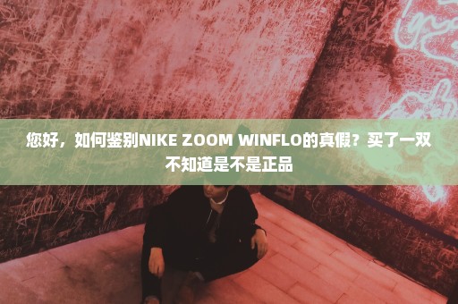 您好，如何鉴别NIKE ZOOM WINFLO的真假？买了一双不知道是不是正品