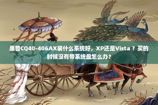 惠普CQ40-406AX装什么系统好，XP还是Vista ？买的时候没有带系统盘怎么办？