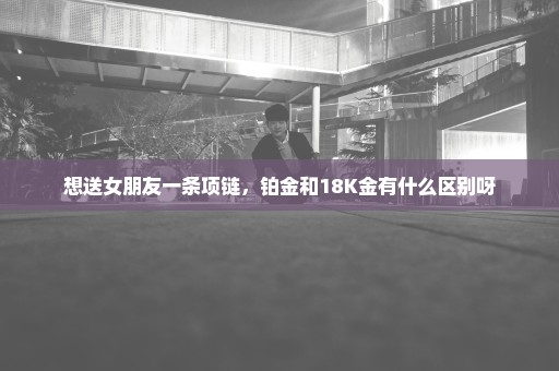 想送女朋友一条项链，铂金和18K金有什么区别呀