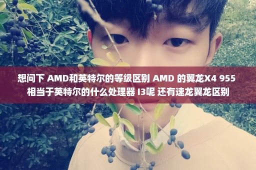 想问下 AMD和英特尔的等级区别 AMD 的翼龙X4 955 相当于英特尔的什么处理器 I3呢 还有速龙翼龙区别