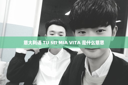 意大利语 TU SEI MIA VITA 是什么意思