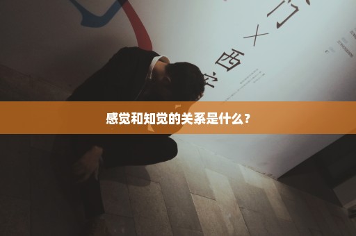 感觉和知觉的关系是什么？