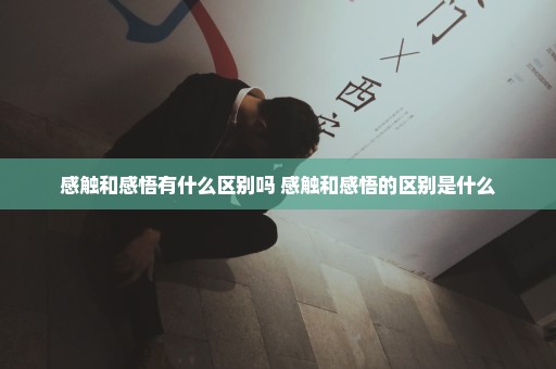 感触和感悟有什么区别吗 感触和感悟的区别是什么