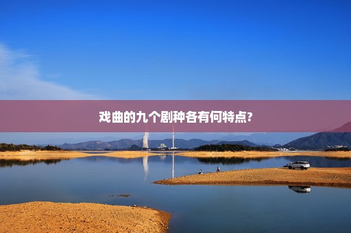 戏曲的九个剧种各有何特点?