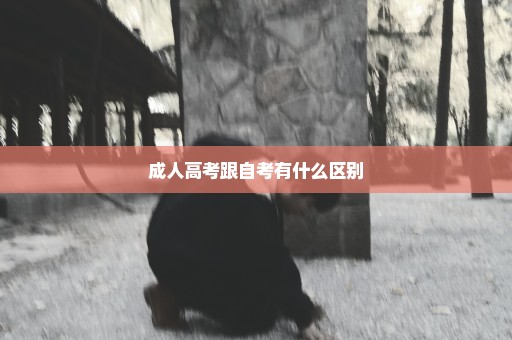 成人高考跟自考有什么区别