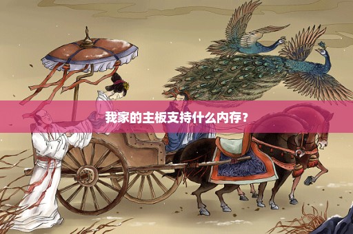 我家的主板支持什么内存？