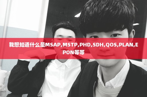 我想知道什么是MSAP,MSTP,PHD,SDH,QOS,PLAN,EPON等等