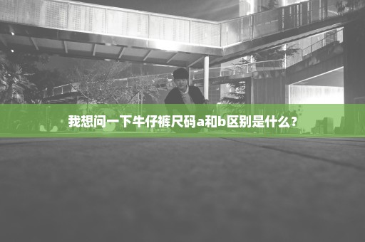 我想问一下牛仔裤尺码a和b区别是什么？