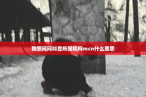 我想问问抖音所属机构mcn什么意思