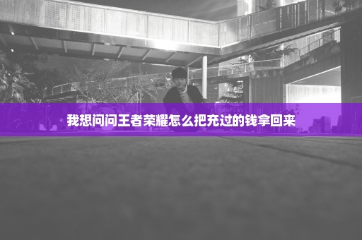 我想问问王者荣耀怎么把充过的钱拿回来