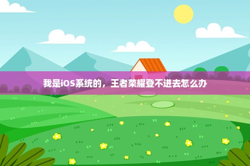 我是iOS系统的，王者荣耀登不进去怎么办