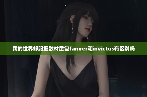 我的世界舒服细致材质包fanver和invictus有区别吗