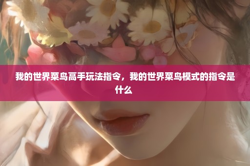 我的世界菜鸟高手玩法指令，我的世界菜鸟模式的指令是什么 