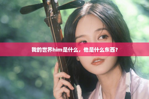 我的世界him是什么，他是什么东西？