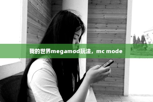 我的世界megamod玩法，mc mode 