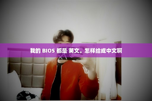 我的 BIOS 都是 英文。怎样给成中文啊