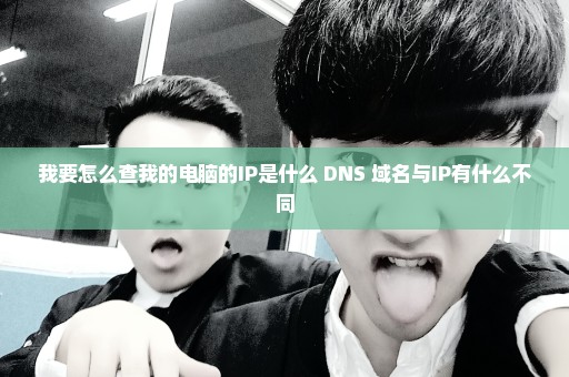 我要怎么查我的电脑的IP是什么 DNS 域名与IP有什么不同