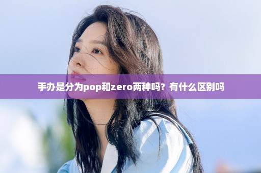 手办是分为pop和zero两种吗？有什么区别吗