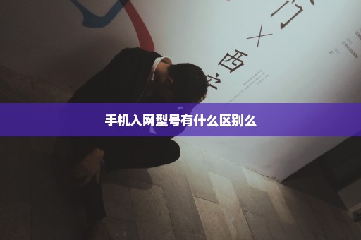 手机入网型号有什么区别么