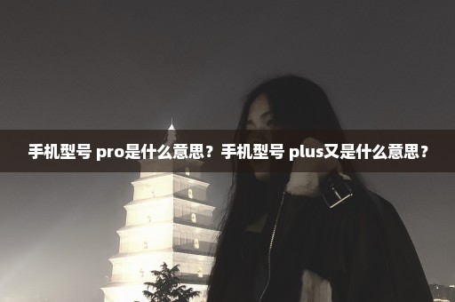 手机型号+pro是什么意思？手机型号+plus又是什么意思？