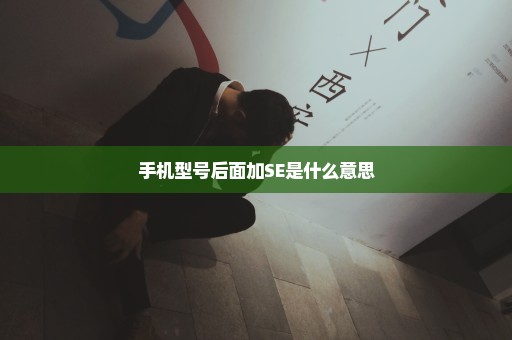 手机型号后面加SE是什么意思