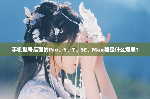 手机型号后面的Pro、S、T、SE、Max都是什么意思？