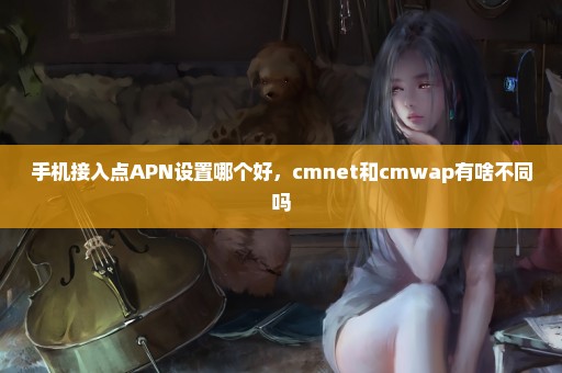 手机接入点APN设置哪个好，cmnet和cmwap有啥不同吗