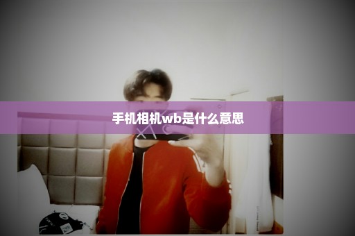 手机相机wb是什么意思