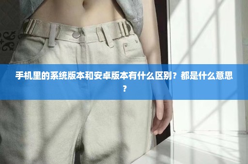 手机里的系统版本和安卓版本有什么区别？都是什么意思？