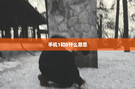 手机1和0什么意思