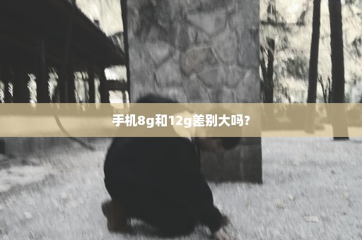 手机8g和12g差别大吗？