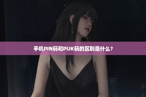 手机PIN码和PUK码的区别是什么？