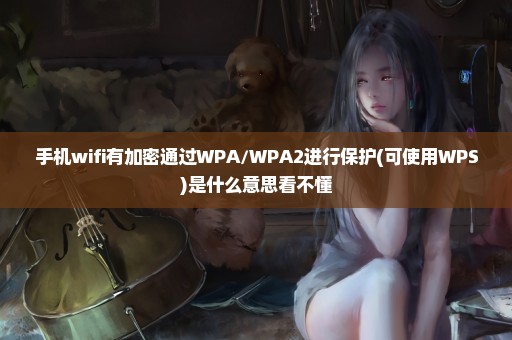 手机wifi有加密通过WPA/WPA2进行保护(可使用WPS)是什么意思看不懂