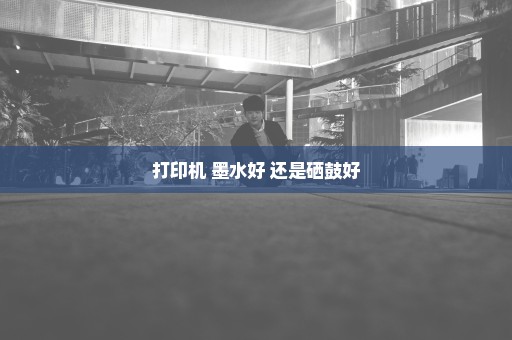 打印机 墨水好 还是硒鼓好