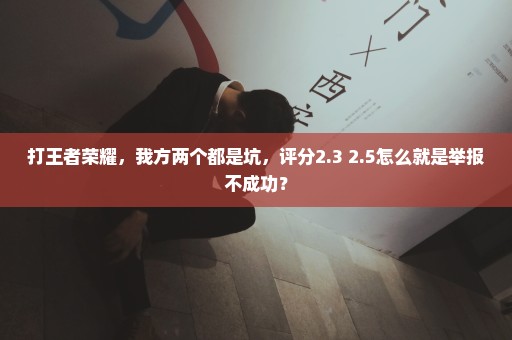 打王者荣耀，我方两个都是坑，评分2.3 2.5怎么就是举报不成功？