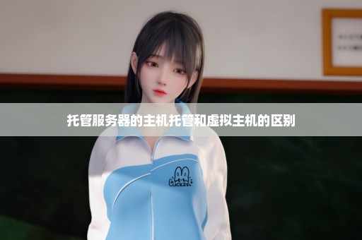 托管服务器的主机托管和虚拟主机的区别