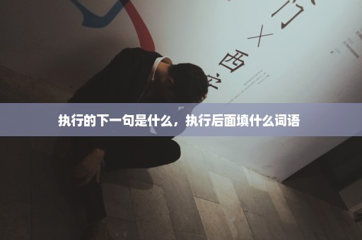 执行的下一句是什么，执行后面填什么词语 