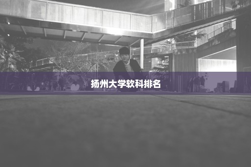 扬州大学软科排名