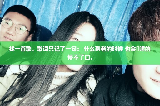 找一首歌，歌词只记了一句： 什么到老的时候 也会啰嗦的停不了口，