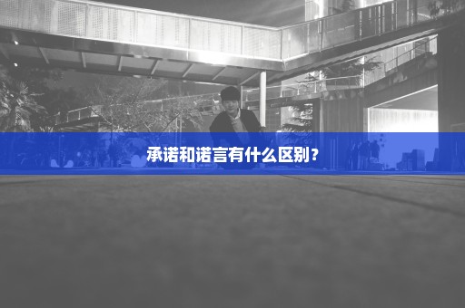 承诺和诺言有什么区别？