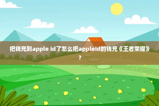 把钱充到apple id了怎么把appleid的钱充《王者荣耀》？