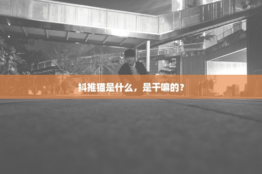 抖推猫是什么，是干嘛的？