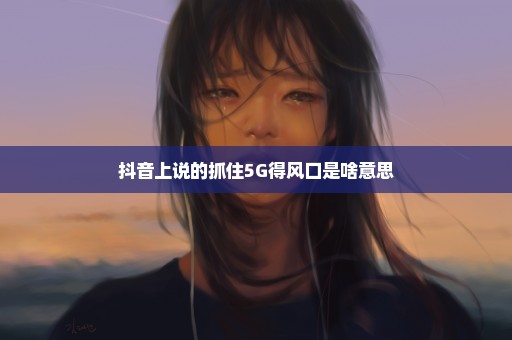 抖音上说的抓住5G得风口是啥意思