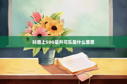 抖音上500毫升可乐是什么意思