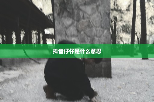 抖音仔仔是什么意思