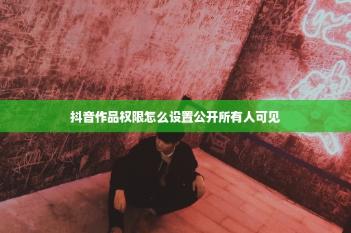 抖音作品权限怎么设置公开所有人可见