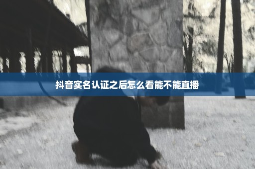 抖音实名认证之后怎么看能不能直播