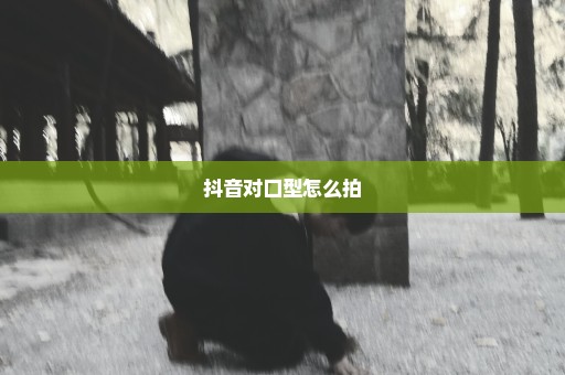 抖音对口型怎么拍