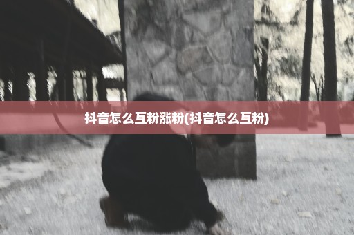 抖音怎么互粉涨粉(抖音怎么互粉)