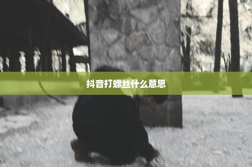 抖音打螺丝什么意思